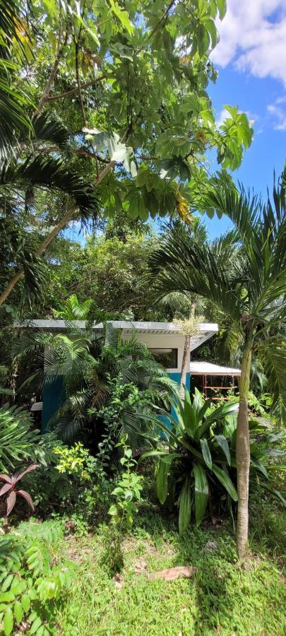 Villa Martina Palmgarden Sámara المظهر الخارجي الصورة