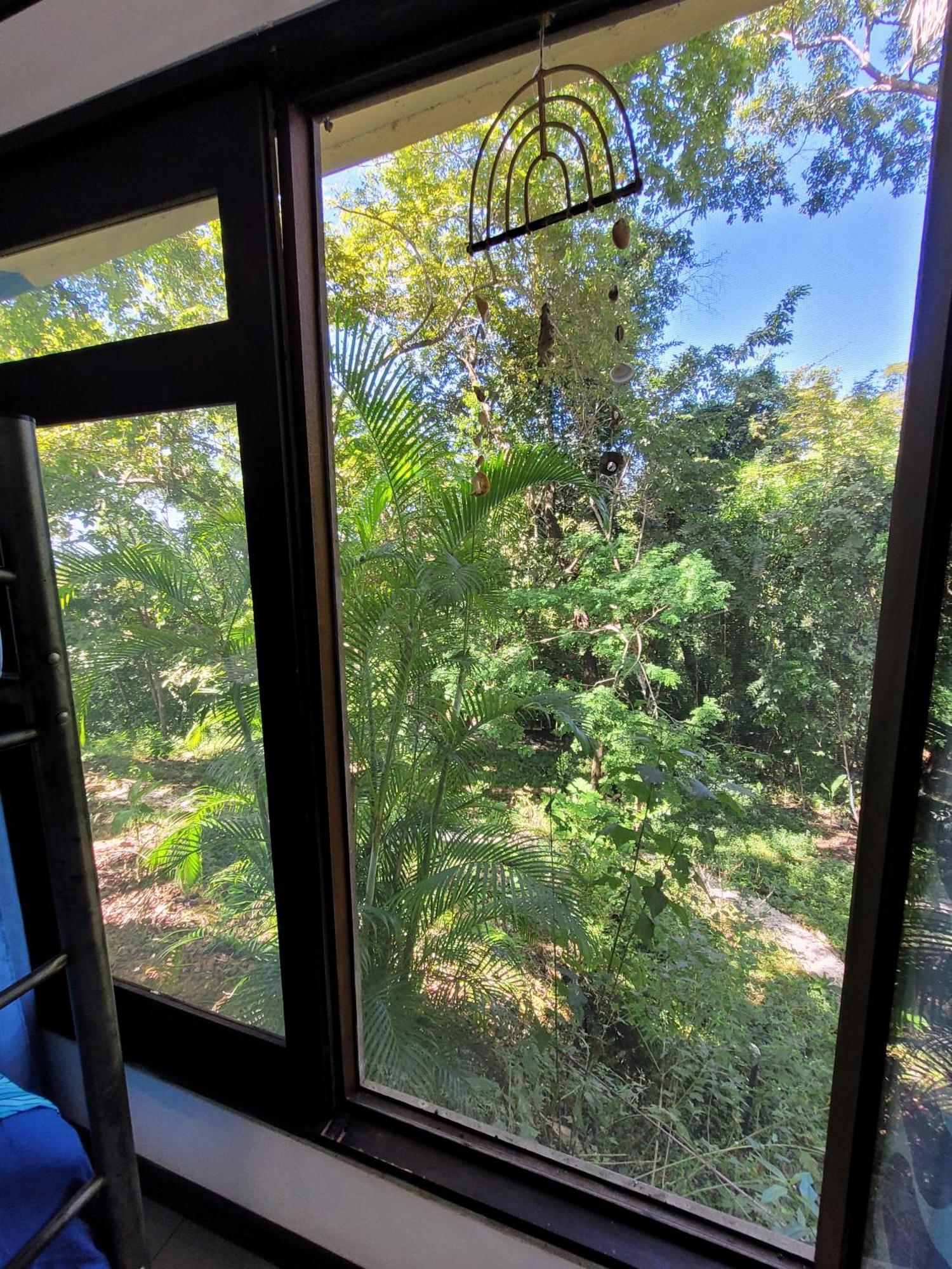 Villa Martina Palmgarden Sámara المظهر الخارجي الصورة