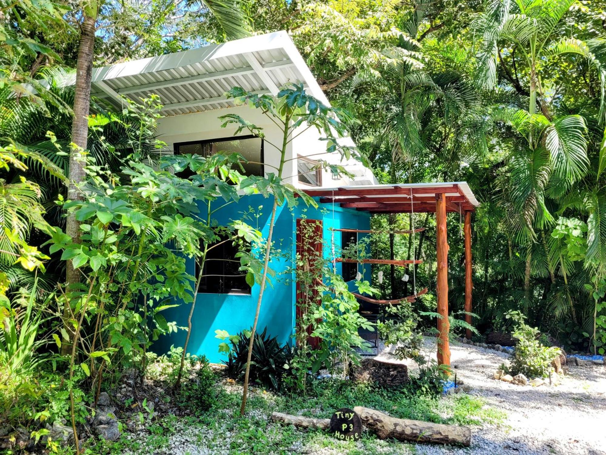 Villa Martina Palmgarden Sámara الغرفة الصورة
